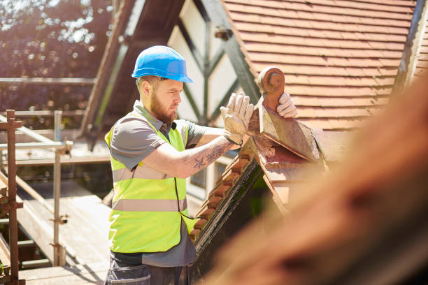 Best Metal Roofing Contractor  in Hudson, CO