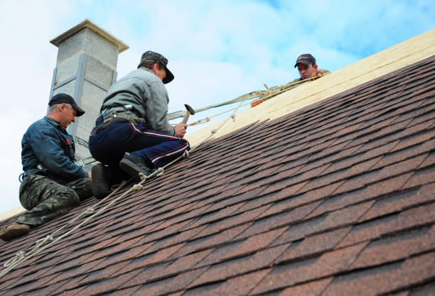 Best Local Roofing Companies  in Hudson, CO